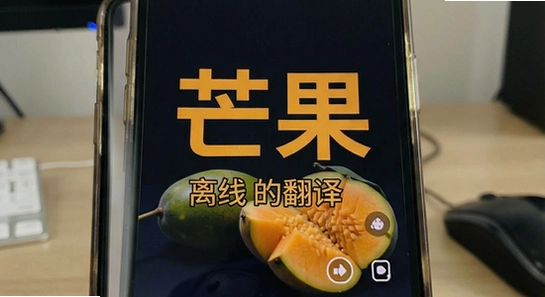 芒果字幕翻译离线能用吗