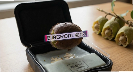 �������װ��������ô��