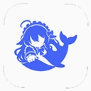 DSH Mobile�ֻ�������v0.18.0 ��׿��