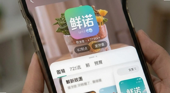 ��ŵapp��ҳ����չʾ