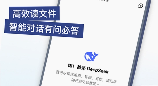 deepseek官方版2026最新版 安装步骤 截图