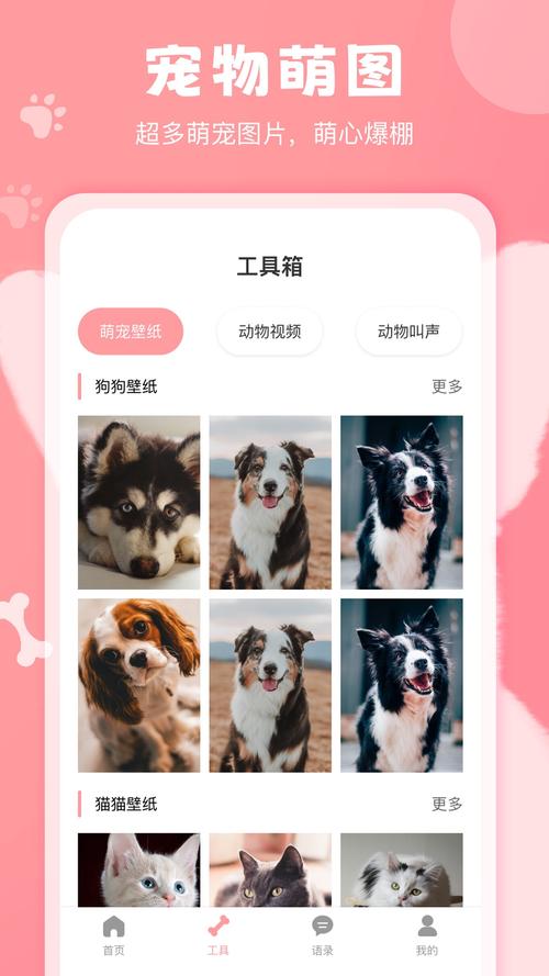 ��è�˹�������app����v4.12.2024121020 ���ｻ������