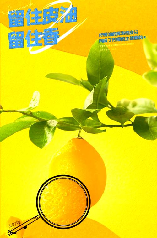 ������д��app�ٷ�����v1.0.4 ����д������