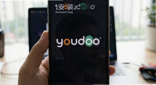 youdoo��װ���˽��