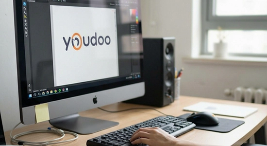 youdoo�޷������Ų�