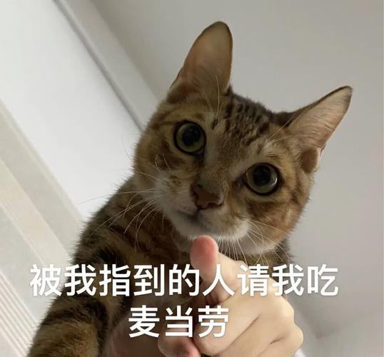AI���ĵ��ٷ�������v1.2.1 ������������