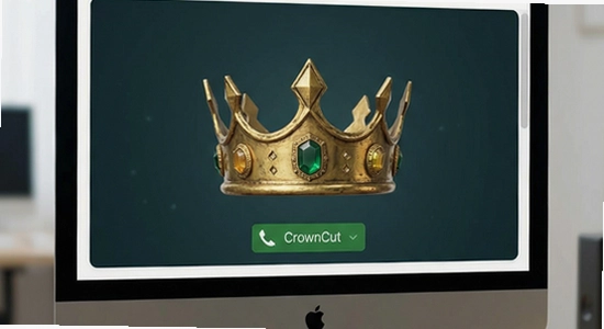 CrownCut代理预览模式怎么开启