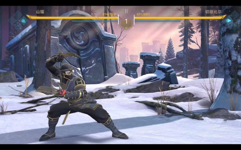 ��Ӱ�񶷴���ս��(Shadow Fight Arena)�ٷ�������v1.9.86 �񶷾�����