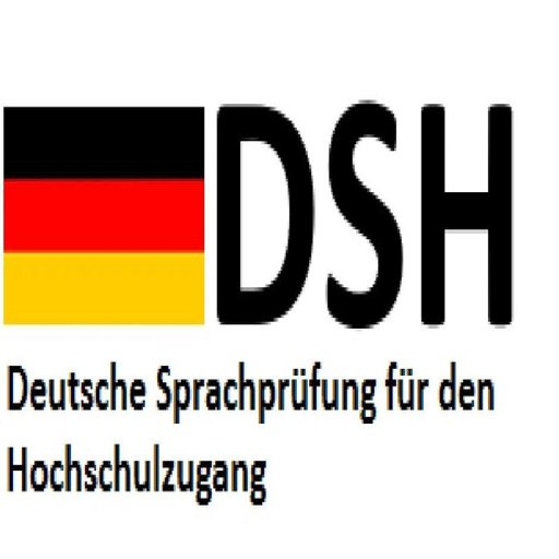 DSH�ٷ�������v0.1.8 �ٷ�����