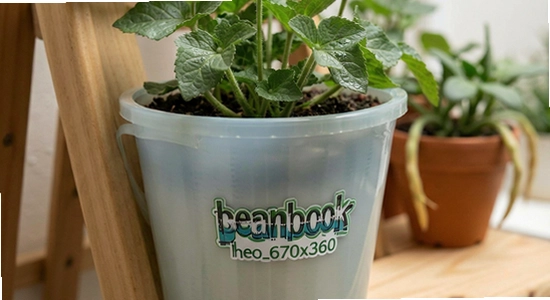 beanbook_hero_670x360
