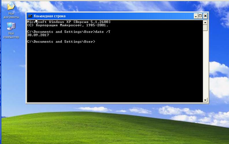 ����XPOS�ٷ�������v1.6.31 �ŵ����