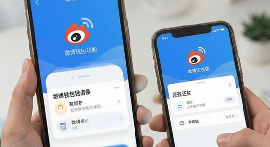 ΢��Ǯ����Ǯ�����뻹�����ʾ��
