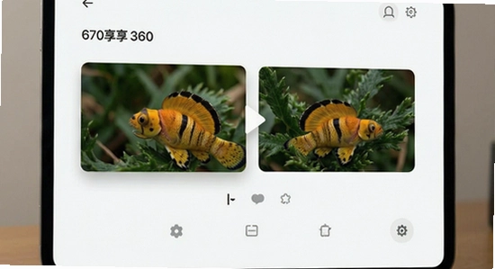 670x360��������չʾ