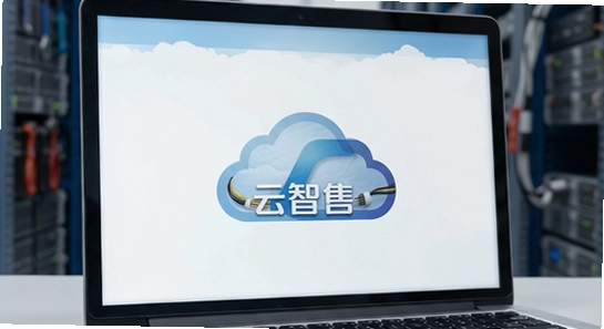 云智售安装失败解析包错误怎么解决