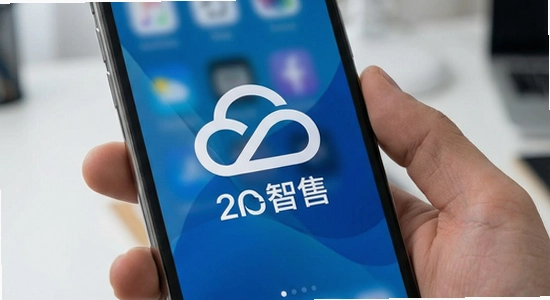 云智售支持苹果iOS系统吗