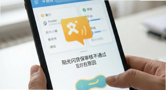 阳光闪贷保审核不通过原因