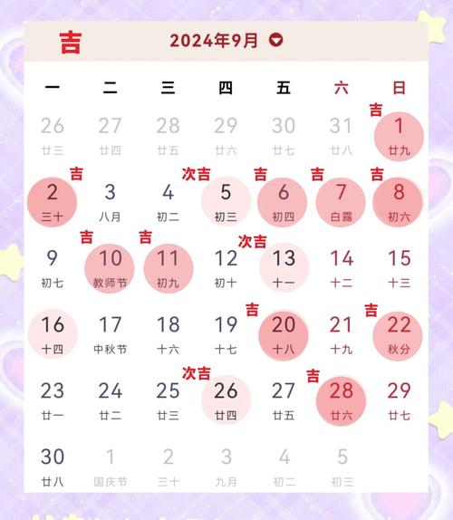 �Ƶ���������v19.0 ���ղ�ѯ����