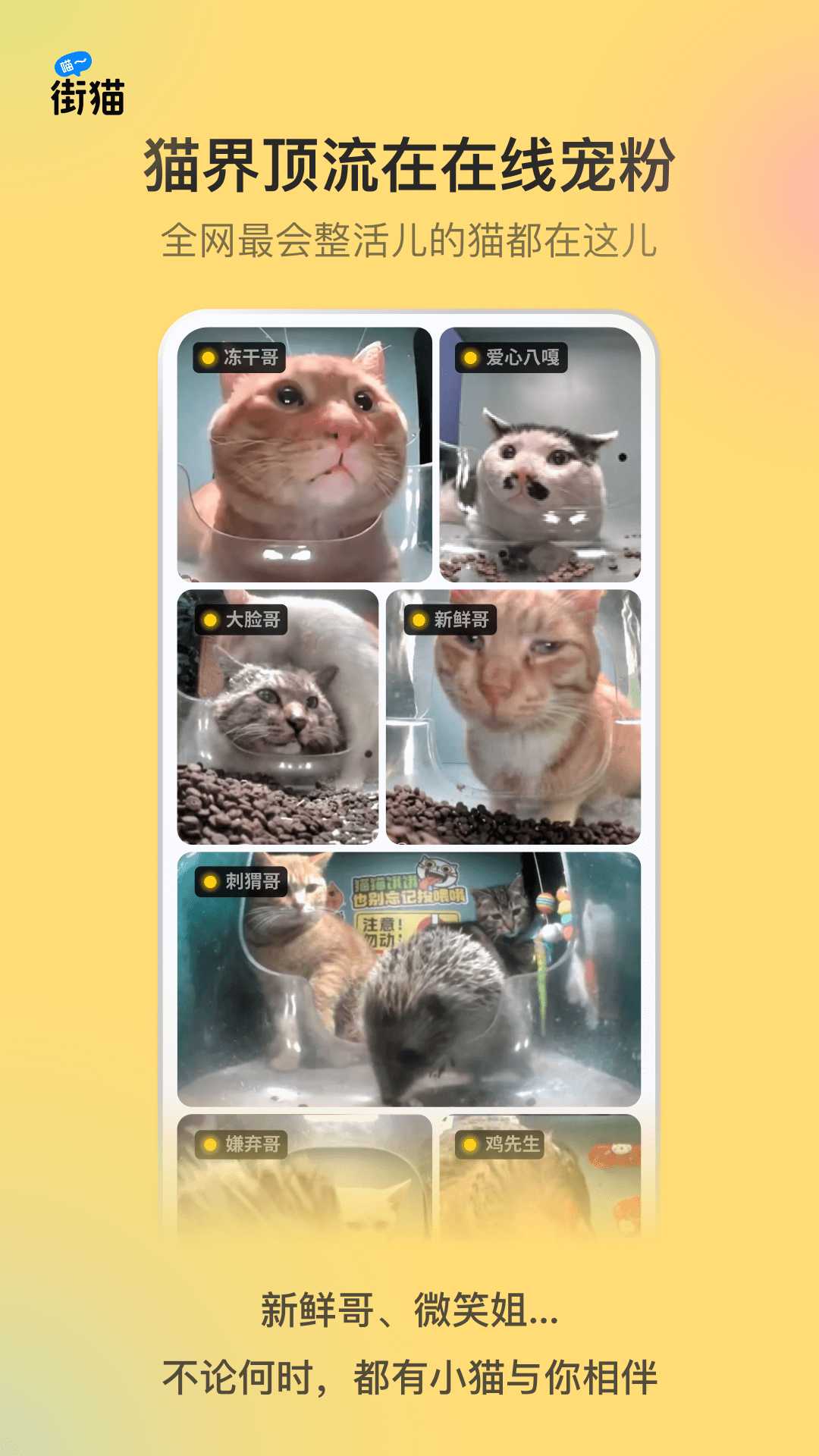 ��èapp���°�����v3.5.5 ��׿��