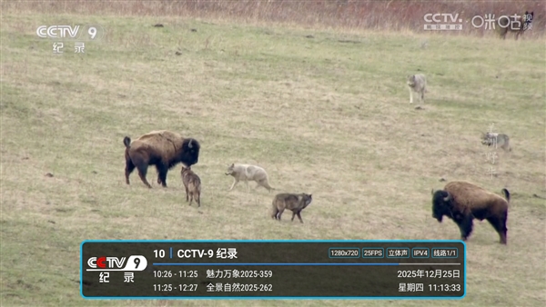 ��9�տǹٷ�������v1.7.7.6-1_20260215_1908 ��׿��