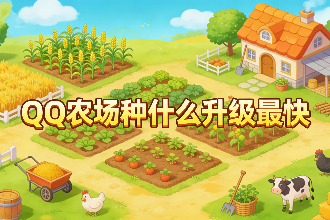 QQũ����ʲô������� QQũ����ô������