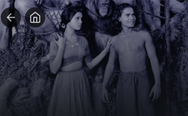 findroid�������°汾