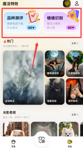 ����ٷ���������