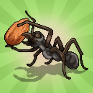 �ڴ�����ģ������������ֻ���(Pocket Ants)v0.1104 ��׿��