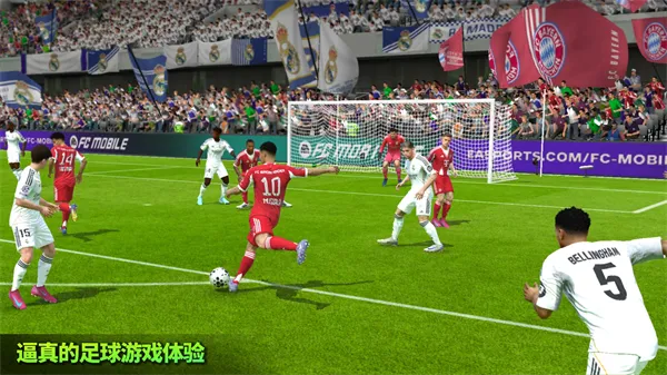 FIFA 22������ذ�׿�ֻ����ͼ