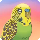 ����������Ϸ���°�����(Bird Kind��װ��)v1.58 ��׿��