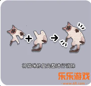 ����һ�������