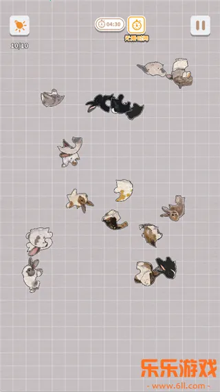 ����һ�������