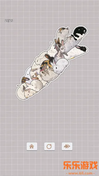 ����һ�������