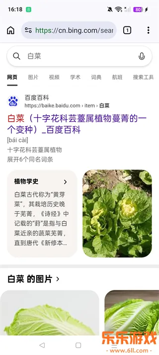 cromite�����