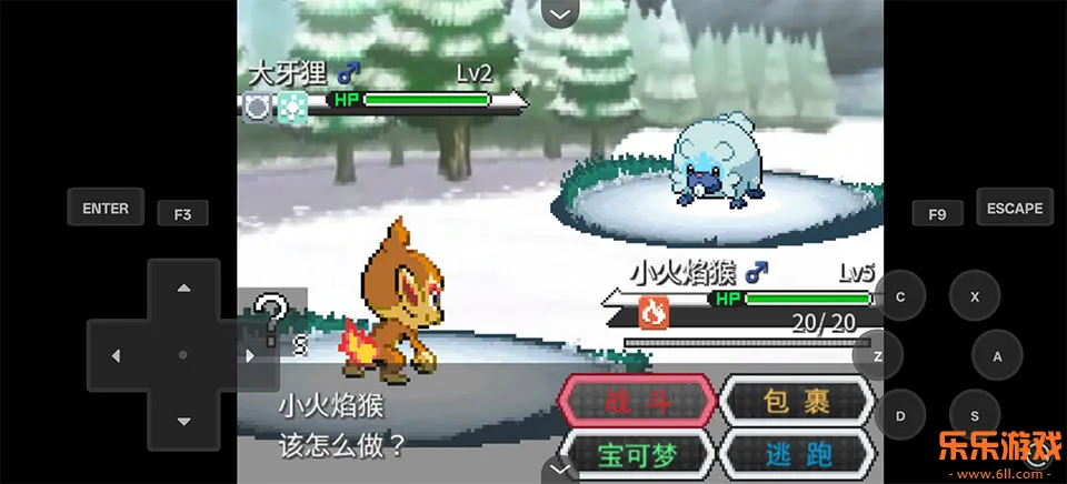 ������Z������