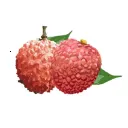 ���ǲ���app�ٷ�������v1.7.5 ��׿��