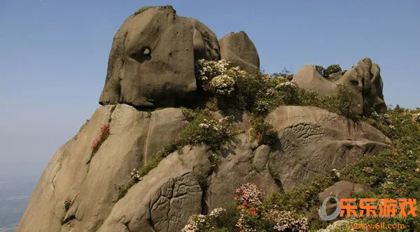 ���ǲ���