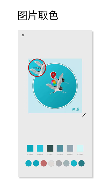 ��ɫ��ɫ�ٷ�app����v1.062 �ֻ���