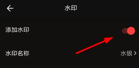 VUE��Ƶ����