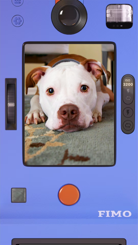 FIMO���Ž�Ƭ���app�ٷ�������v3.14.3 ��׿��