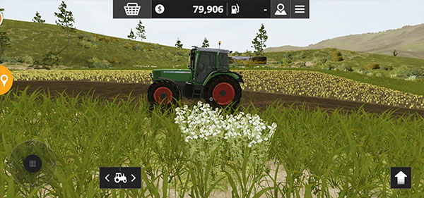 ģ��ũ��20�������ؽ�ͼ