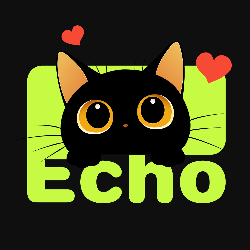 Echo ai�ֻ�������v1.0.6 ��׿��