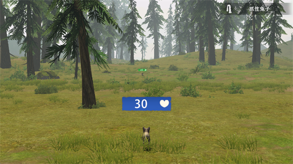��������2026���°�����(Wolf Game)v1.0.78 ��׿��
