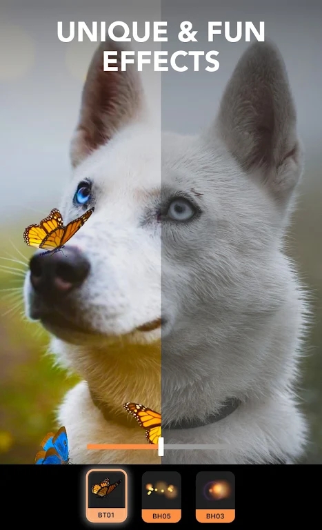 Motionleap��׿�ֻ�����ٷ�����v1.8.1 ���°�