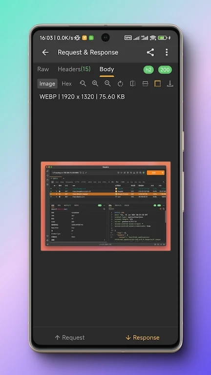 Reqableץ�������ֻ�������v3.0.38 ���°�