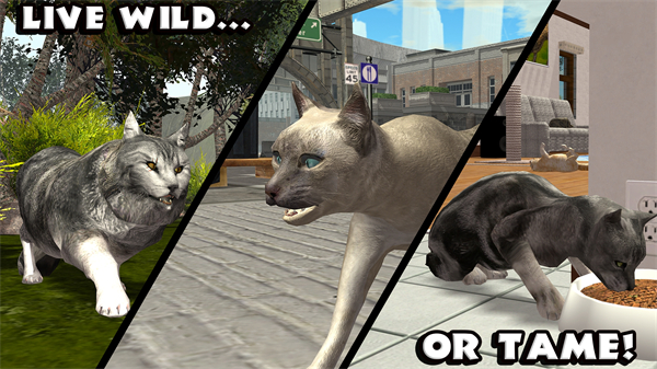 �ռ�èģ������������(RTK_UltCatSim)v1.1 ��׿��