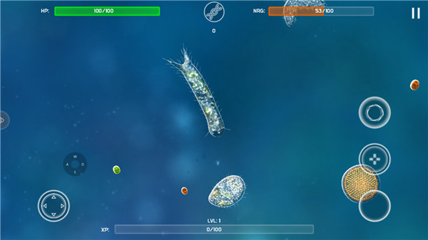 ����ģ�������İ�����(Bionix)v56.49 ��׿��