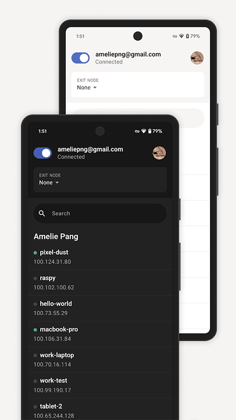 Tailscale�ٷ�������