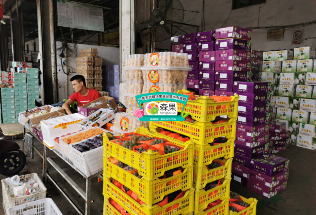 ɭ�������׹ٷ�����