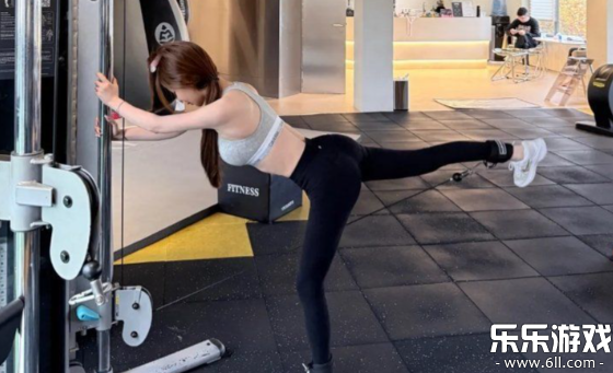 ����2026�ֻ�������