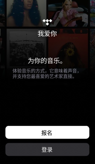 TIDAL�����ֻ�������